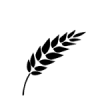 gluten-100×100