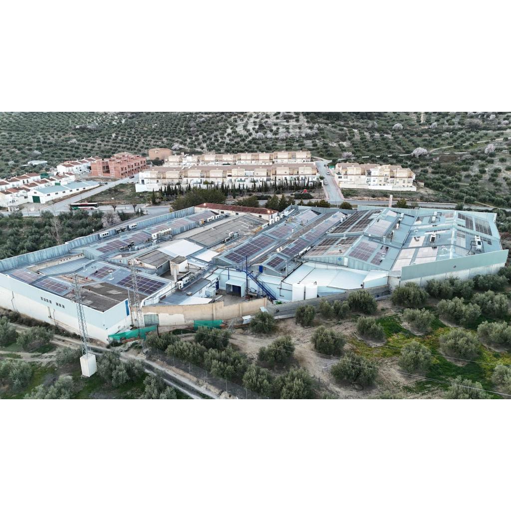 Instalación fotovoltaica de 473,34 Kwp para autoconsumo en la nave de EMBUTIDOS CARCHELEJO SLU
